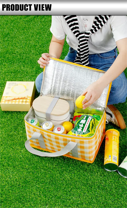 Portable Insulated Picnic Basket with Aluminum Frame