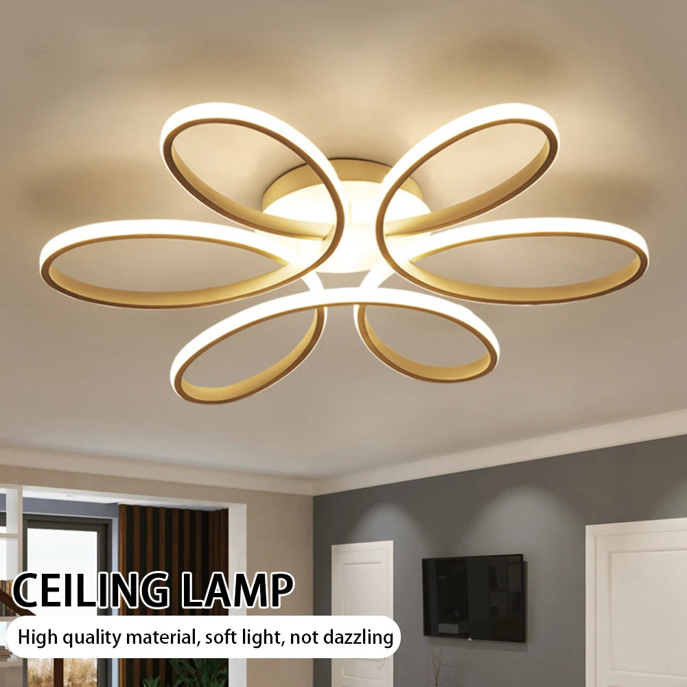 Modern LED Ceiling Lamp – Aisle & Indoor Lighting Fixture
