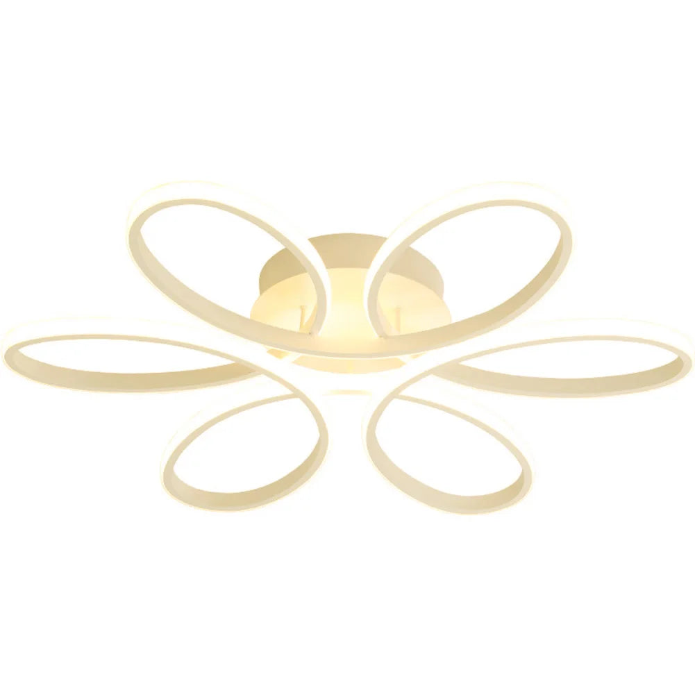 Modern LED Ceiling Lamp – Aisle & Indoor Lighting Fixture