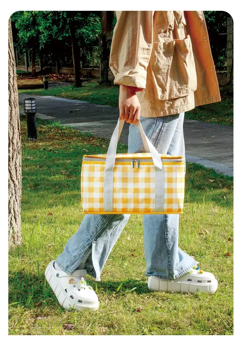 Portable Insulated Picnic Basket with Aluminum Frame