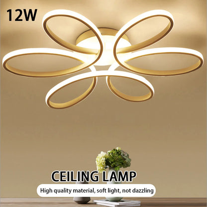 Modern LED Ceiling Lamp – Aisle & Indoor Lighting Fixture