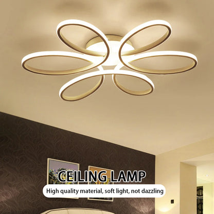 Modern LED Ceiling Lamp – Aisle & Indoor Lighting Fixture