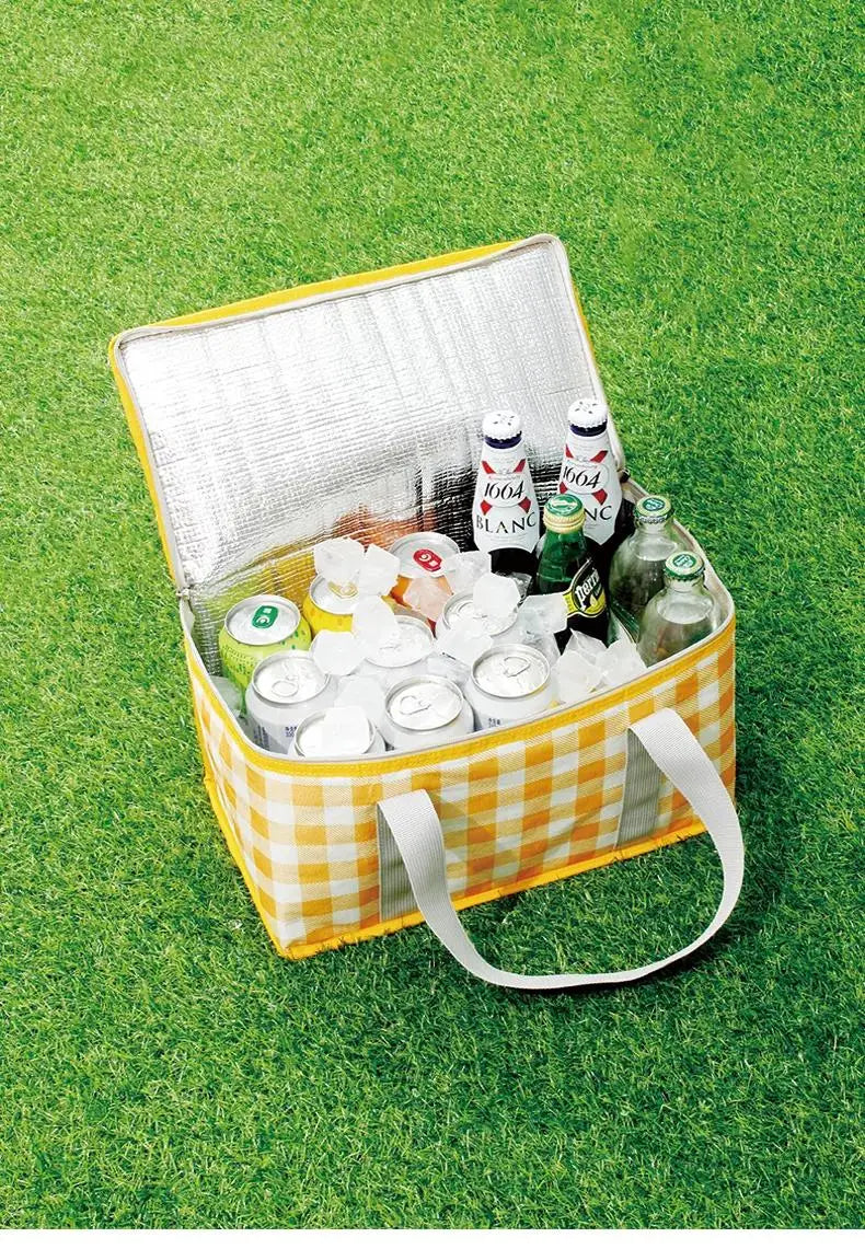 Portable Insulated Picnic Basket with Aluminum Frame