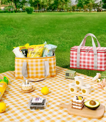 Portable Insulated Picnic Basket with Aluminum Frame