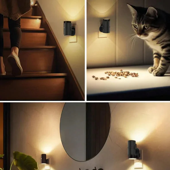 Glow Ease LED Wall Night Lamp